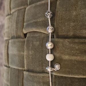 Pandora essence charms